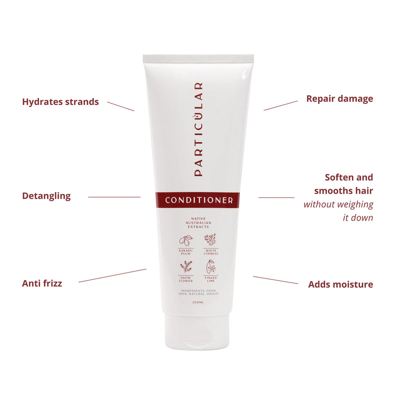 Conditioner