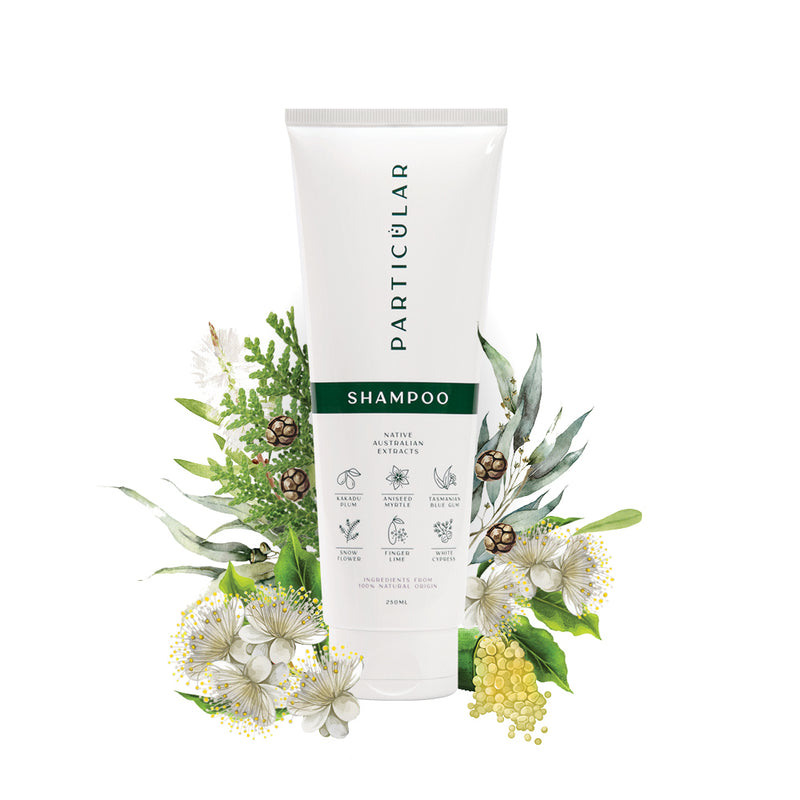 Shampoo